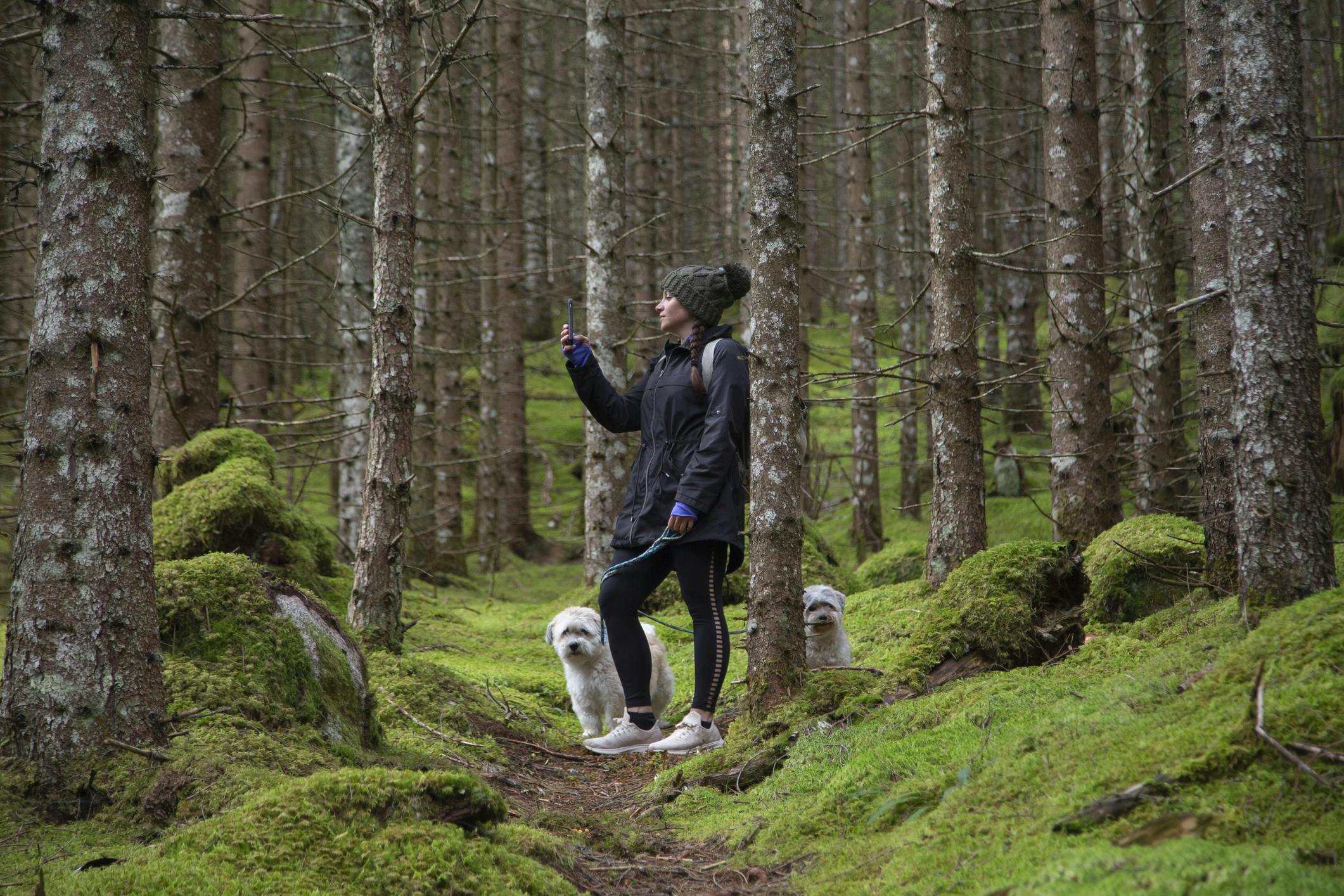 Kvinna står med hundar och mobiltelefon i skogen. Bilden har använts för digitala skogshjältar.