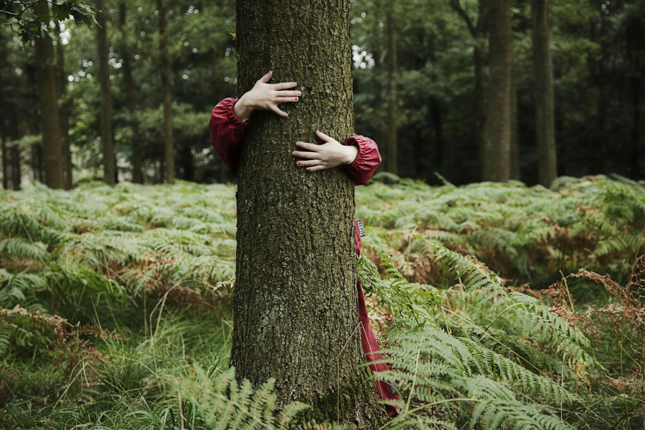 En person kramar ett träd i skogen.
