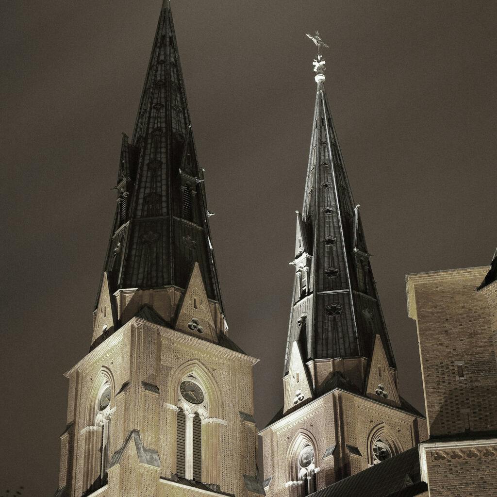 Det växande problemet med ljusföroreningar är ett allvarligt hot mot fladdermusen som kan tveka att lämna kyrkan alls om den är upplyst hela natten.