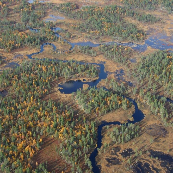 Flygfoto över myr/våtmark i Arjeplog.