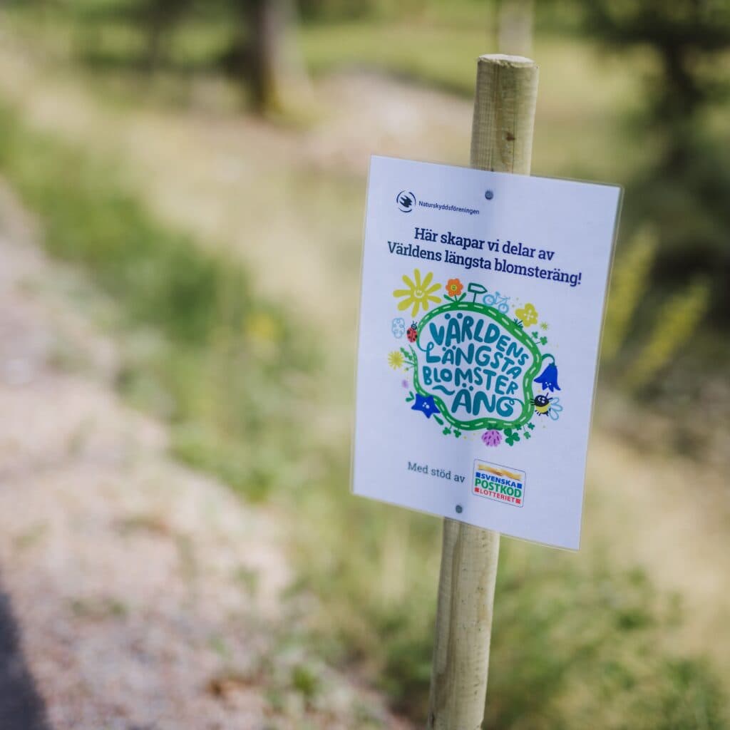 En vägkant med en skylt med "världens längsta blomsteräng".