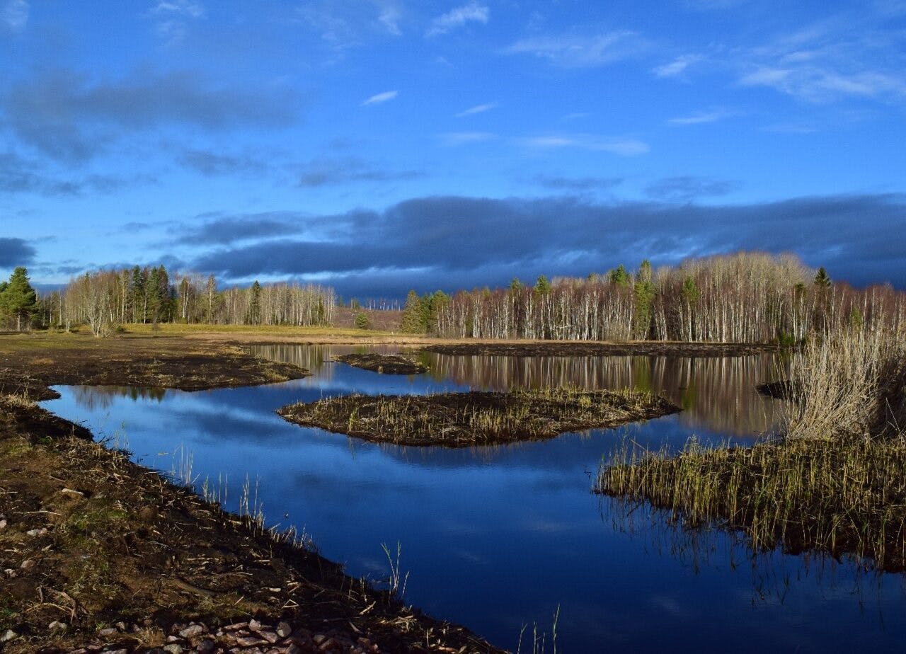 Mödänge våtmark i Bollnäs.