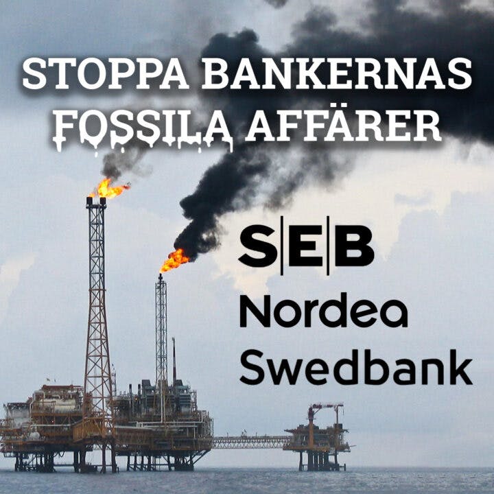 Naturskyddsföreningen köper aktier i storbankerna SEB Nordea Swedbank