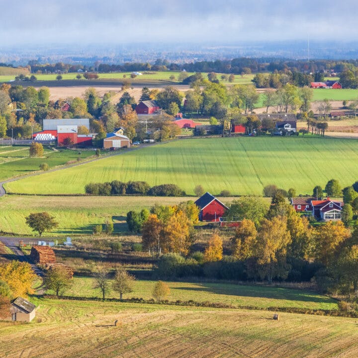 Swedish countryside view with farms and fields in autumn colours