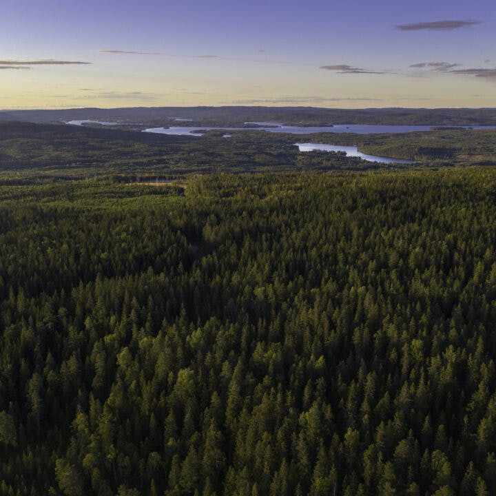 Drone view of a landscape with vast forests in the southern Dalarna region of Sweden.