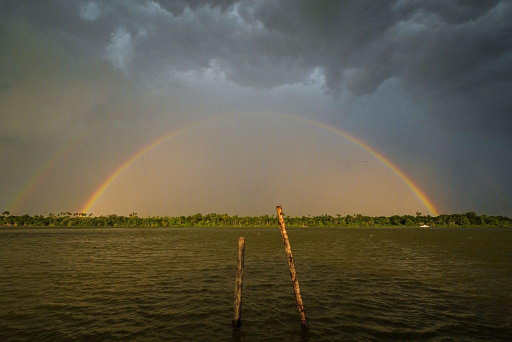 Regnbåde symboliserar hopp om skydd av Amazonas skogar