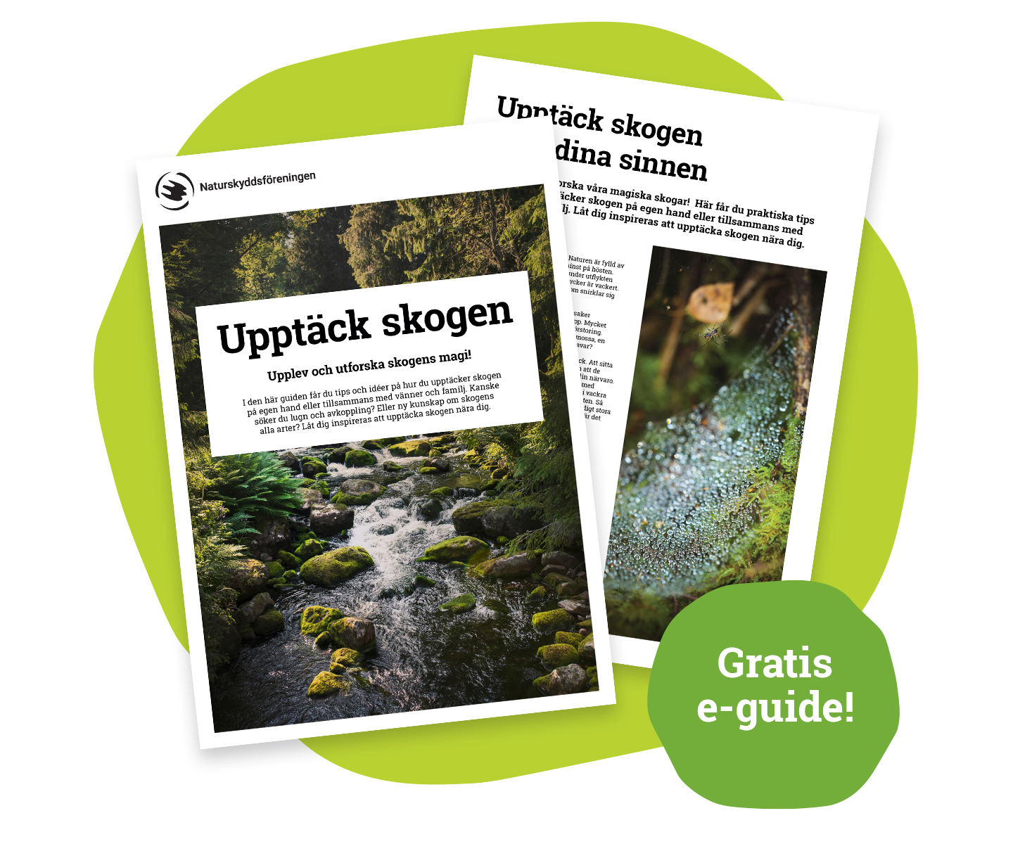 Ladda ner vår gratis e-guide Upptäck skogen.