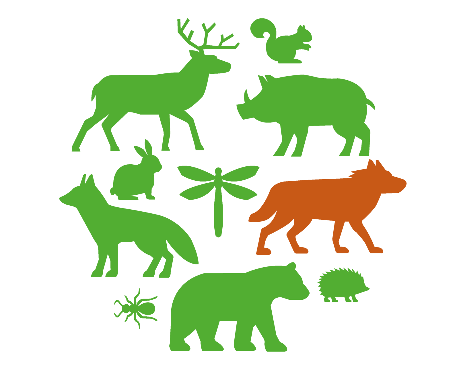 Illustration med djurarter.