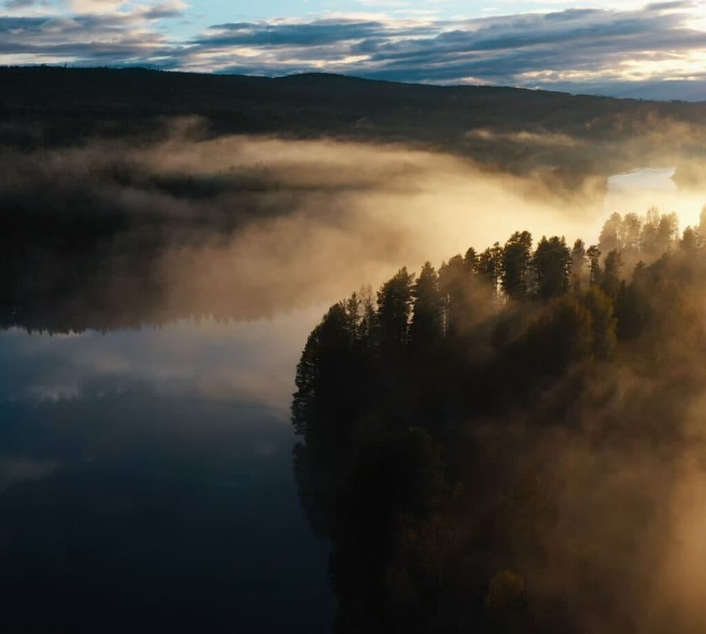 Miljön i siffror 2025