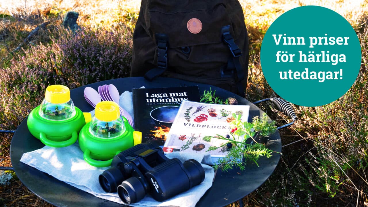 Prispaket för skolklasserna som vinner SM i fågelholk. Bland annat en stekhäll och en kikare ingår.