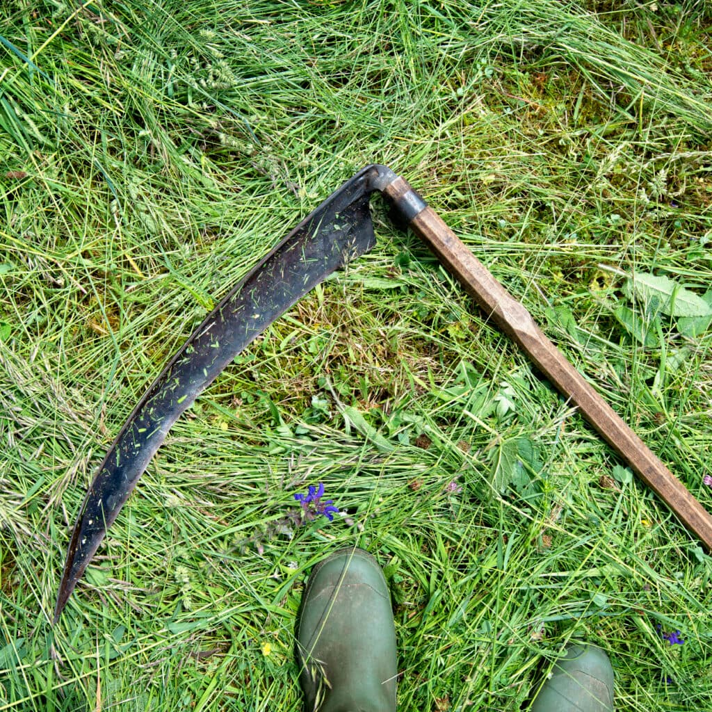 Närbild på lie i nyklippt gräs intill ett par stövlar.