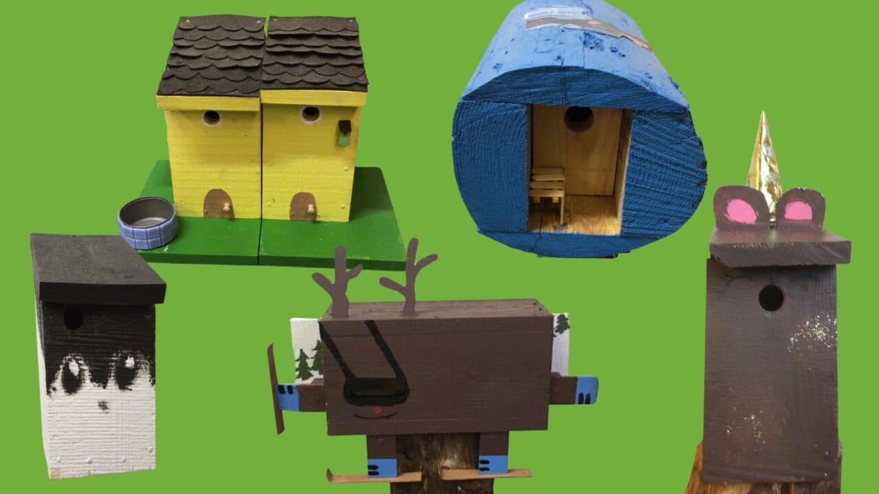 Fågelholkar byggda av skolelever i Unnaryds skola, som får specialpriset i SM i fågelholk 2026.