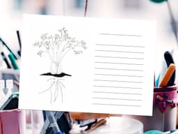 Skola Ritad Skolträdgården - kostnadsfritt skolmaterial från Naturskyddsföreningen